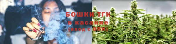 стафф Нягань