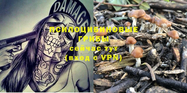 стафф Нягань